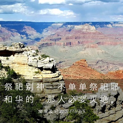 Picture 03 - 出 埃 及 记 22:20 CUVS - 祭 祀 别 神 ， 不 单 单 祭 祀 耶 和 - Bible Verse Picture