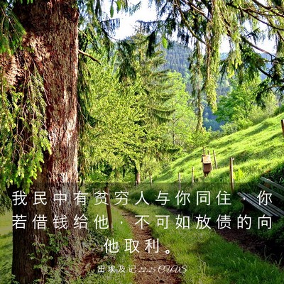 Picture 03 - 出 埃 及 记 22:25 CUVS - 我 民 中 有 贫 穷 人 与 你 同 住 ， - Bible Verse Picture