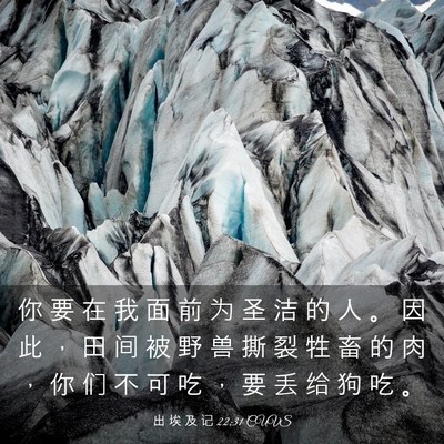 Picture 03 - 出 埃 及 记 22:31 CUVS - 你 要 在 我 面 前 为 圣 洁 的 人 。 - Bible Verse Picture