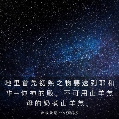 Picture 03 - 出 埃 及 记 23:19 CUVS - 地 里 首 先 初 熟 之 物 要 送 到 耶 - Bible Verse Picture