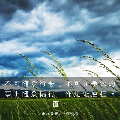 Picture 03 - 出 埃 及 记 23:2 CUVS - 不 可 随 众 行 恶 ； 不 可 在 争 讼 - Bible Verse Picture