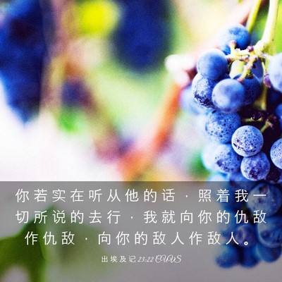 Picture 03 - 出 埃 及 记 23:22 CUVS - 你 若 实 在 听 从 他 的 话 ， 照 着 - Bible Verse Picture