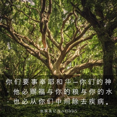 Picture 03 - 出 埃 及 记 23:25 CUVS - 你 们 要 事 奉 耶 和 华 ─ 你 们 的 - Bible Verse Picture