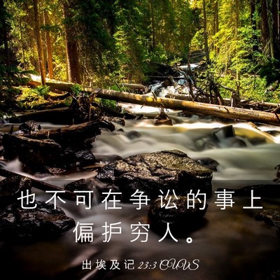 Picture 03 - 出 埃 及 记 23:3 CUVS - 也 不 可 在 争 讼 的 事 上 偏 护 穷 - Bible Verse Picture