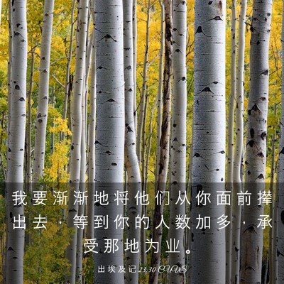 Picture 03 - 出 埃 及 记 23:30 CUVS - 我 要 渐 渐 地 将 他 们 从 你 面 前 - Bible Verse Picture