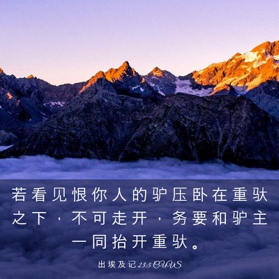 Picture 03 - 出 埃 及 记 23:5 CUVS - 若 看 见 恨 你 人 的 驴 压 卧 在 重 - Bible Verse Picture