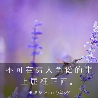 Picture 03 - 出 埃 及 记 23:6 CUVS - 不 可 在 穷 人 争 讼 的 事 上 屈 枉 - Bible Verse Picture