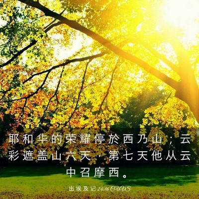 Picture 03 - 出 埃 及 记 24:16 CUVS - 耶 和 华 的 荣 耀 停 於 西 乃 山 ； - Bible Verse Picture