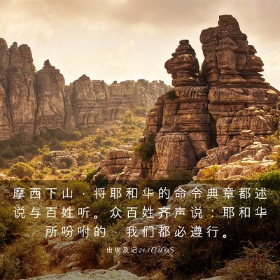 Picture 03 - 出 埃 及 记 24:3 CUVS - 摩 西 下 山 ， 将 耶 和 华 的 命 令 - Bible Verse Picture
