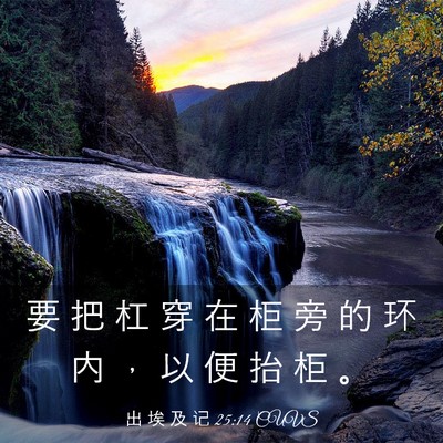 Picture 03 - 出 埃 及 记 25:14 CUVS - 要 把 杠 穿 在 柜 旁 的 环 内 ， 以 - Bible Verse Picture