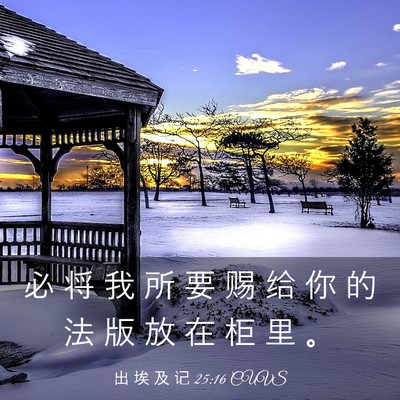 Picture 03 - 出 埃 及 记 25:16 CUVS - 必 将 我 所 要 赐 给 你 的 法 版 放 - Bible Verse Picture