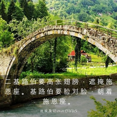 Picture 03 - 出 埃 及 记 25:20 CUVS - 二 基 路 伯 要 高 张 翅 膀 ， 遮 掩 - Bible Verse Picture