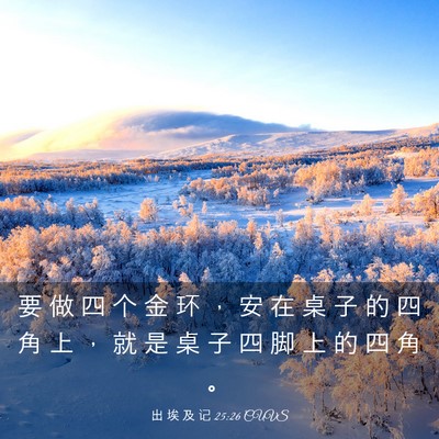 Picture 03 - 出 埃 及 记 25:26 CUVS - 要 做 四 个 金 环 ， 安 在 桌 子 的 - Bible Verse Picture