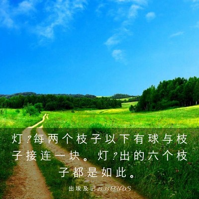 Picture 03 - 出 埃 及 记 25:35 CUVS - 灯 ? 每 两 个 枝 子 以 下 有 球 与 枝 - Bible Verse Picture