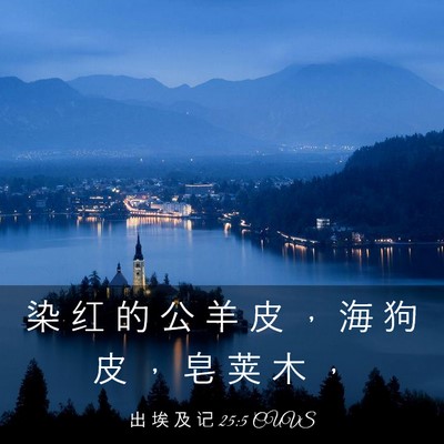Picture 03 - 出 埃 及 记 25:5 CUVS - 染 红 的 公 羊 皮 ， 海 狗 皮 ， 皂 - Bible Verse Picture