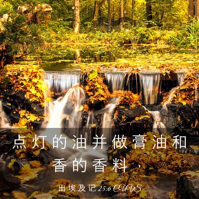 Picture 03 - 出 埃 及 记 25:6 CUVS - 点 灯 的 油 并 做 膏 油 和 香 的 香 - Bible Verse Picture