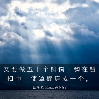 Picture 03 - 出 埃 及 记 26:11 CUVS - 又 要 做 五 十 个 铜 钩 ， 钩 在 钮 - Bible Verse Picture