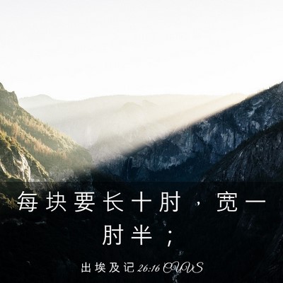 Picture 03 - 出 埃 及 记 26:16 CUVS - 每 块 要 长 十 肘 ， 宽 一 肘 半 - Bible Verse Picture