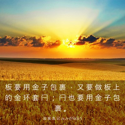 Picture 03 - 出 埃 及 记 26:29 CUVS - 板 要 用 金 子 包 裹 ， 又 要 做 板 - Bible Verse Picture