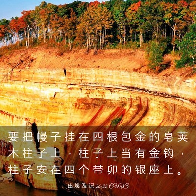 Picture 03 - 出 埃 及 记 26:32 CUVS - 要 把 幔 子 挂 在 四 根 包 金 的 皂 - Bible Verse Picture