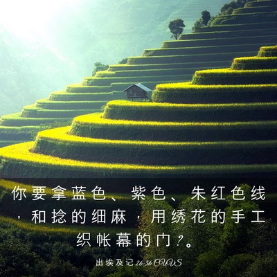Picture 03 - 出 埃 及 记 26:36 CUVS - 你 要 拿 蓝 色 、 紫 色 、 朱 红 色 - Bible Verse Picture