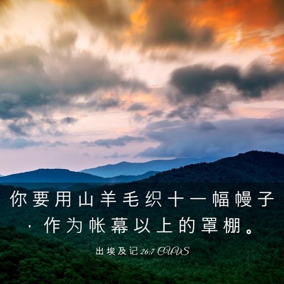 Picture 03 - 出 埃 及 记 26:7 CUVS - 你 要 用 山 羊 毛 织 十 一 幅 幔 子 - Bible Verse Picture