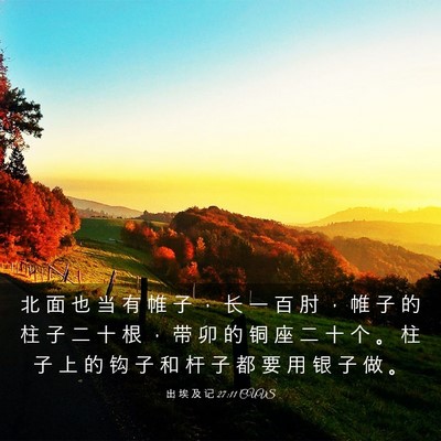 Picture 03 - 出 埃 及 记 27:11 CUVS - 北 面 也 当 有 帷 子 ， 长 一 百 肘 - Bible Verse Picture