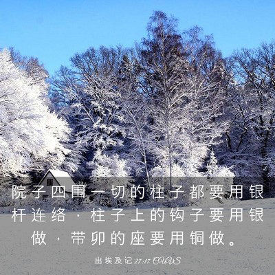 Picture 03 - 出 埃 及 记 27:17 CUVS - 院 子 四 围 一 切 的 柱 子 都 要 用 - Bible Verse Picture