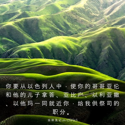 Picture 03 - 出 埃 及 记 28:1 CUVS - 你 要 从 以 色 列 人 中 ， 使 你 的 - Bible Verse Picture