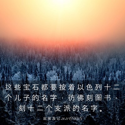 Picture 03 - 出 埃 及 记 28:21 CUVS - 这 些 宝 石 都 要 按 着 以 色 列 十 - Bible Verse Picture