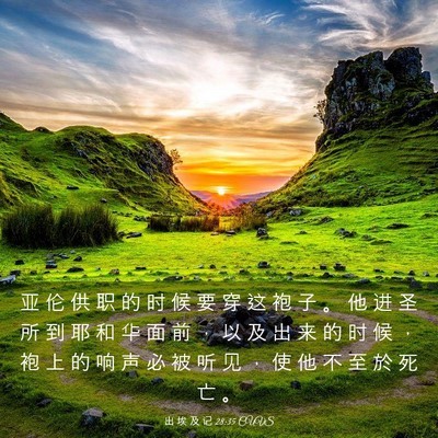 Picture 03 - 出 埃 及 记 28:35 CUVS - 亚 伦 供 职 的 时 候 要 穿 这 袍 子 - Bible Verse Picture