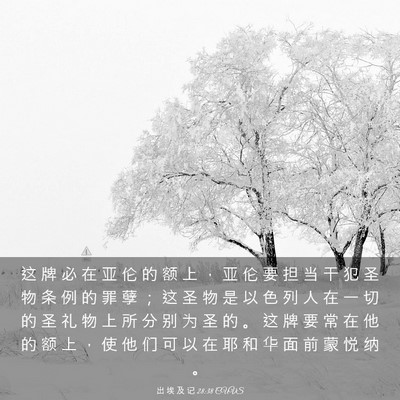 Picture 03 - 出 埃 及 记 28:38 CUVS - 这 牌 必 在 亚 伦 的 额 上 ， 亚 伦 - Bible Verse Picture