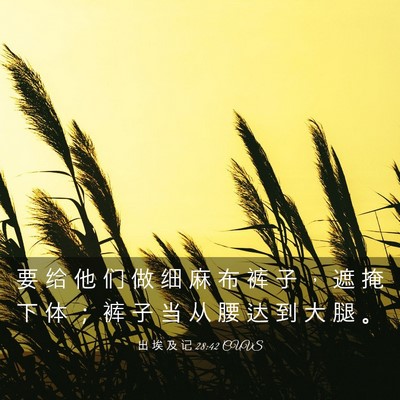 Picture 03 - 出 埃 及 记 28:42 CUVS - 要 给 他 们 做 细 麻 布 裤 子 ， 遮 - Bible Verse Picture