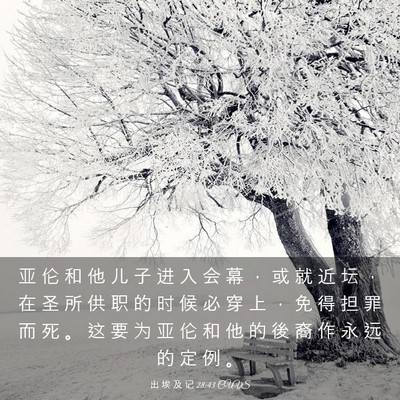 Picture 03 - 出 埃 及 记 28:43 CUVS - 亚 伦 和 他 儿 子 进 入 会 幕 ， 或 - Bible Verse Picture