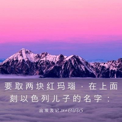 Picture 03 - 出 埃 及 记 28:9 CUVS - 要 取 两 块 红 玛 瑙 ， 在 上 面 刻 - Bible Verse Picture