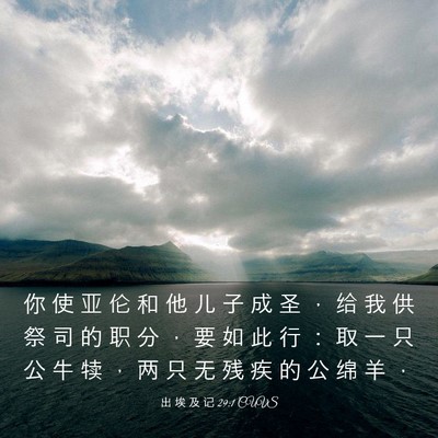 Picture 03 - 出 埃 及 记 29:1 CUVS - 你 使 亚 伦 和 他 儿 子 成 圣 ， 给 - Bible Verse Picture