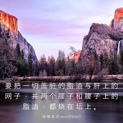 Picture 03 - 出 埃 及 记 29:13 CUVS - 要 把 一 切 盖 脏 的 脂 油 与 肝 上 - Bible Verse Picture