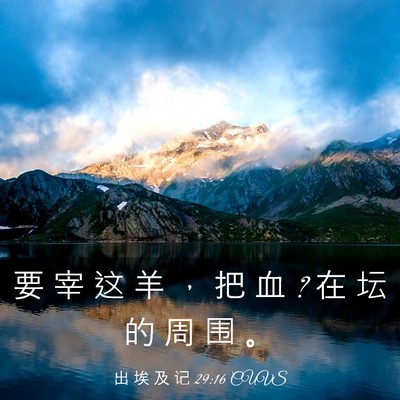 Picture 03 - 出 埃 及 记 29:16 CUVS - 要 宰 这 羊 ， 把 血 ? 在 坛 的 周 围 - Bible Verse Picture