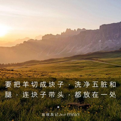 Picture 03 - 出 埃 及 记 29:17 CUVS - 要 把 羊 切 成 块 子 ， 洗 净 五 脏 - Bible Verse Picture