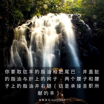 Picture 03 - 出 埃 及 记 29:22 CUVS - 你 要 取 这 羊 的 脂 油 和 肥 尾 巴 - Bible Verse Picture