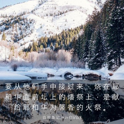 Picture 03 - 出 埃 及 记 29:25 CUVS - 要 从 他 们 手 中 接 过 来 ， 烧 在 - Bible Verse Picture
