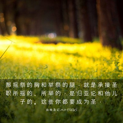 Picture 03 - 出 埃 及 记 29:27 CUVS - 那 摇 祭 的 胸 和 举 祭 的 腿 ， 就 - Bible Verse Picture