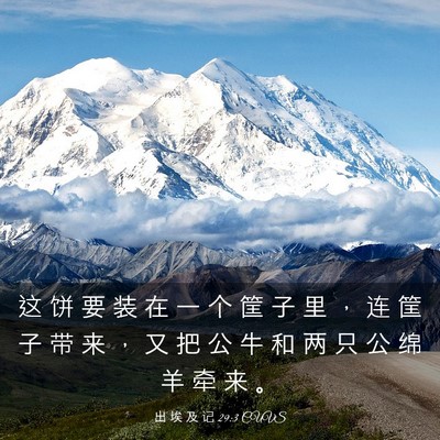 Picture 03 - 出 埃 及 记 29:3 CUVS - 这 饼 要 装 在 一 个 筐 子 里 ， 连 - Bible Verse Picture