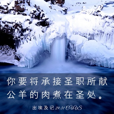 Picture 03 - 出 埃 及 记 29:31 CUVS - 你 要 将 承 接 圣 职 所 献 公 羊 的 - Bible Verse Picture