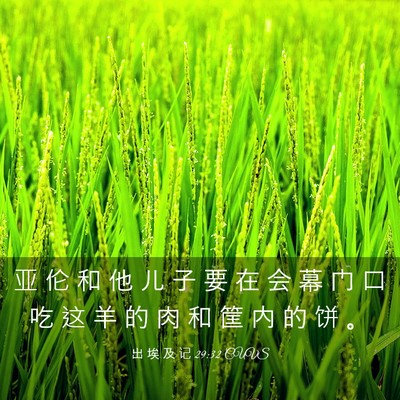 Picture 03 - 出 埃 及 记 29:32 CUVS - 亚 伦 和 他 儿 子 要 在 会 幕 门 口 - Bible Verse Picture