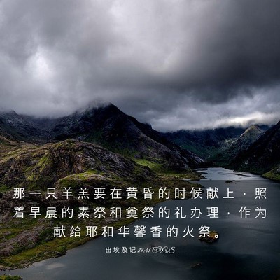 Picture 03 - 出 埃 及 记 29:41 CUVS - 那 一 只 羊 羔 要 在 黄 昏 的 时 候 - Bible Verse Picture