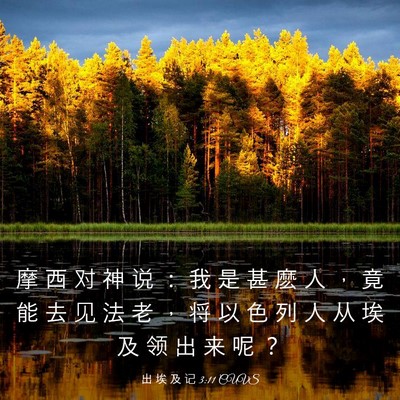 Picture 03 - 出 埃 及 记 3:11 CUVS - 摩 西 对 神 说 ： 我 是 甚 麽 人 ， - Bible Verse Picture