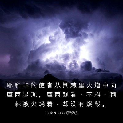 Picture 03 - 出 埃 及 记 3:2 CUVS - 耶 和 华 的 使 者 从 荆 棘 里 火 焰 - Bible Verse Picture