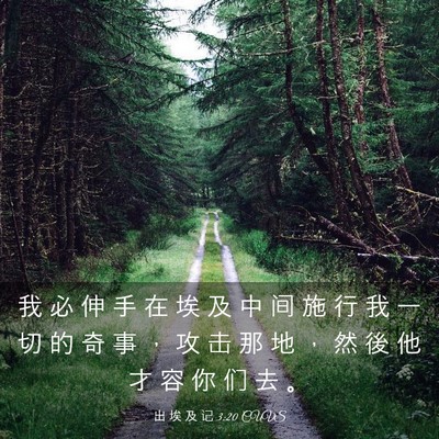 Picture 03 - 出 埃 及 记 3:20 CUVS - 我 必 伸 手 在 埃 及 中 间 施 行 我 - Bible Verse Picture