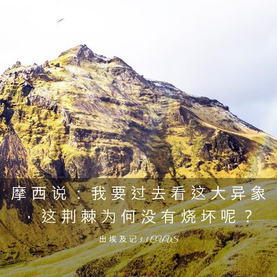 Picture 03 - 出 埃 及 记 3:3 CUVS - 摩 西 说 ： 我 要 过 去 看 这 大 异 - Bible Verse Picture
